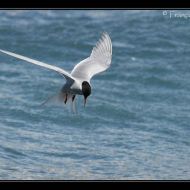IMG 7843