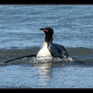 IMG 7853
