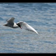 IMG 7856
