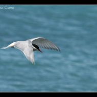 IMG 7860