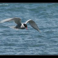 IMG 7863