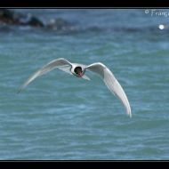 IMG 7867