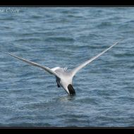 IMG 7868
