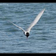 IMG 7869