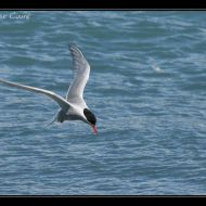 IMG 7880