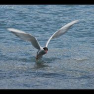 IMG 7881