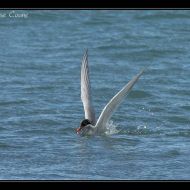 IMG 7883