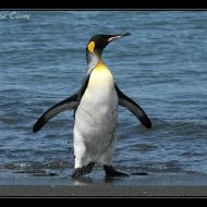 IMG 7888