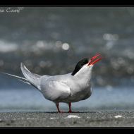 IMG 7892