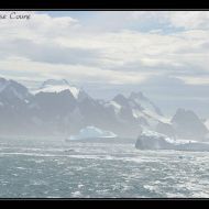 IMG 7979