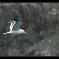 IMG 8151