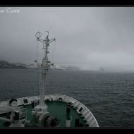 IMG 8353