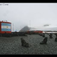 IMG 8398