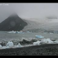 IMG 8419