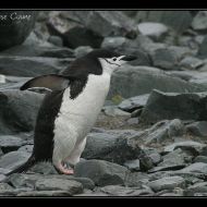 IMG 8478