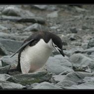 IMG 8481