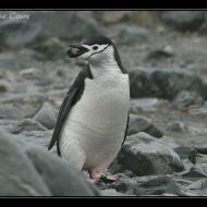 IMG 8492