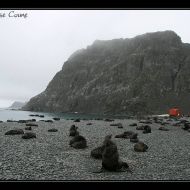 IMG 8567