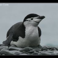 IMG 8568