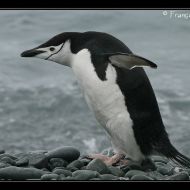 IMG 8611