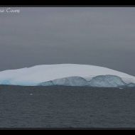 IMG 8891