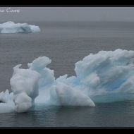 IMG 9174