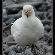 IMG 9179