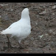 IMG 9183