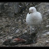 IMG 9192