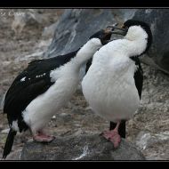 IMG 9195