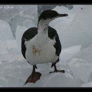 IMG 9248