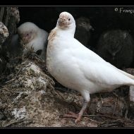 IMG 9252