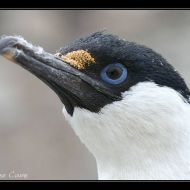 IMG 9278