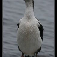 IMG 9282