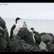 IMG 9297