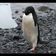 IMG 9312