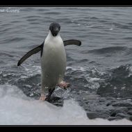 IMG 9358