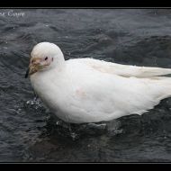 IMG 9383
