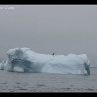 IMG 9399