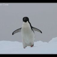 IMG 9401