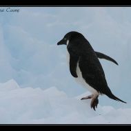 IMG 9403