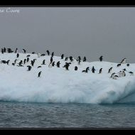 IMG 9415