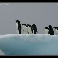 IMG 9434