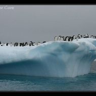 IMG 9436