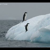 IMG 9438