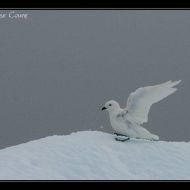 IMG 9443