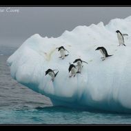 IMG 9449