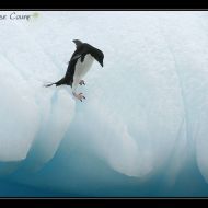 IMG 9456