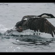 IMG 9467