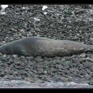 IMG 9481